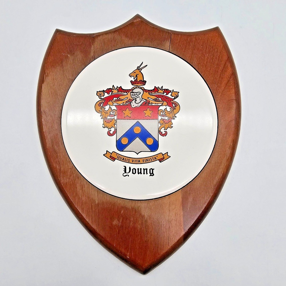 Vintage Young Family Crest Coat of Arms Wooden Shield Wall Plaque Heraldry 11"